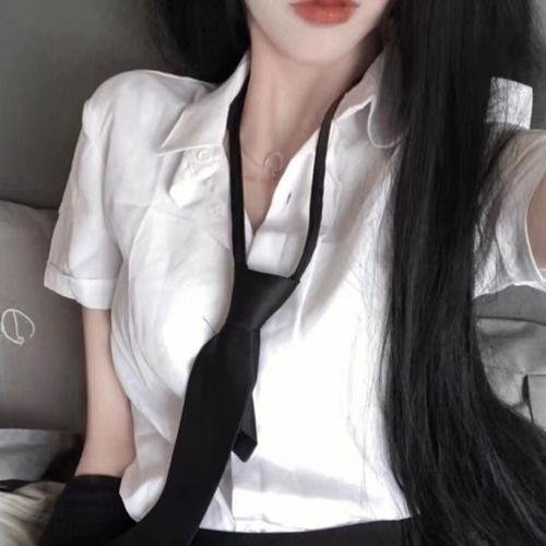 救森动物联盟