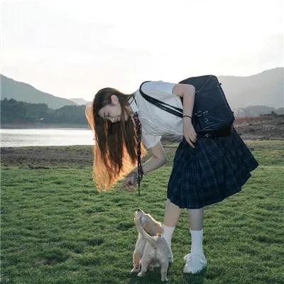 八美图