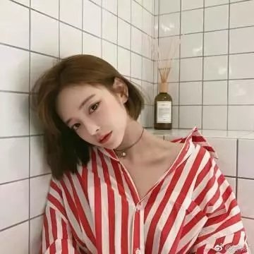 蝙蝠侠：势不两立