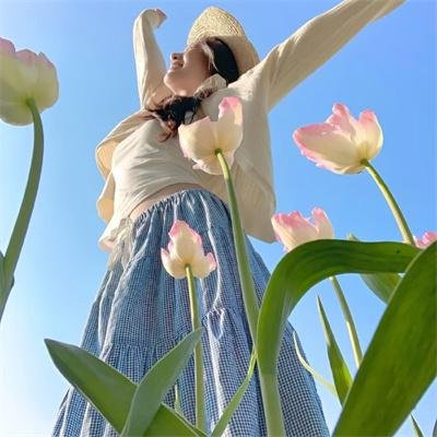隔篱屋有宝